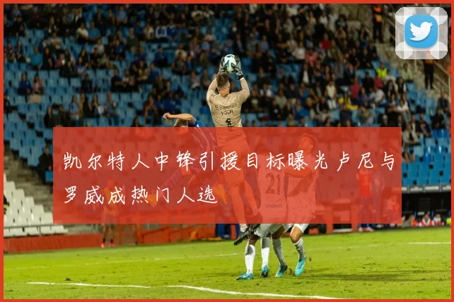 凯尔特人中锋引援目标曝光卢尼与罗威成热门人选